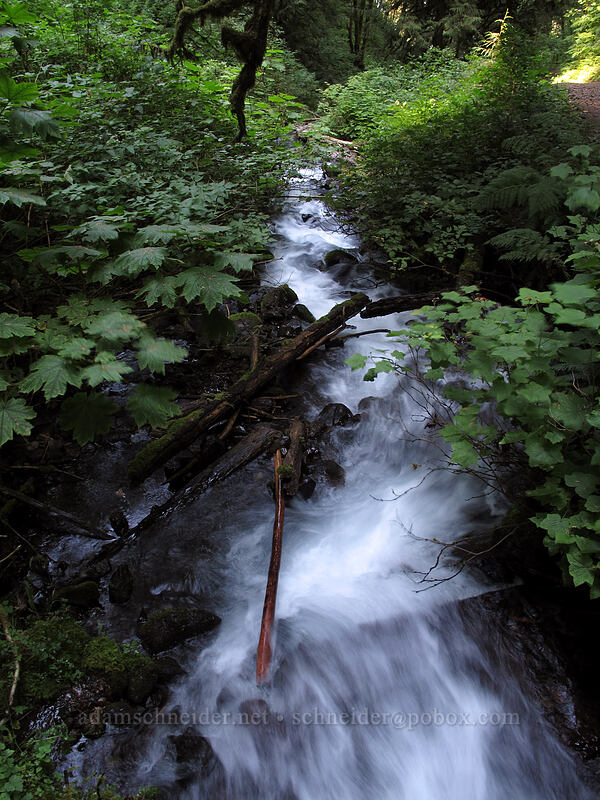 Wahkeena Creek [Wahkeena Trail, Columbia River Gorge, Multnomah County, Oregon]