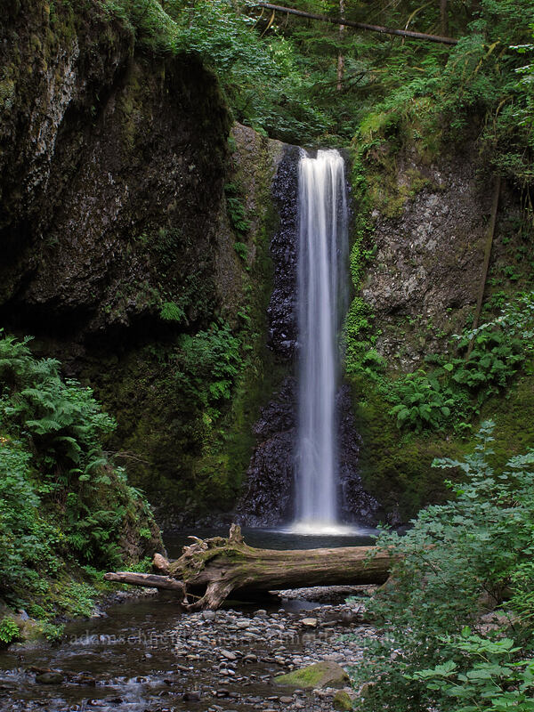 Weisendanger Falls [Larch Mountain Trail, Columbia River Gorge, Multnomah County, Oregon]