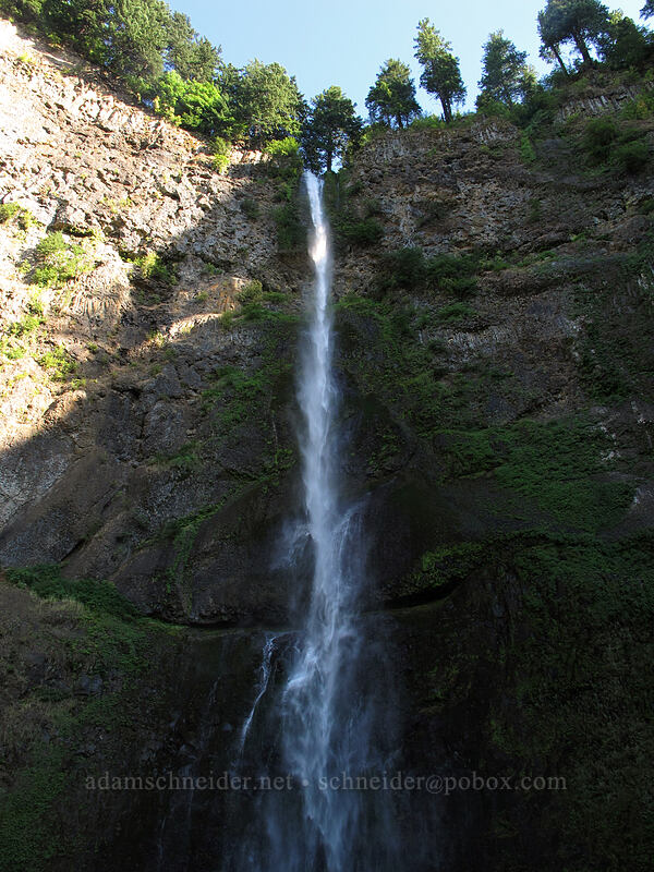 Multnomah Falls [Larch Mountain Trail, Columbia River Gorge, Multnomah County, Oregon]