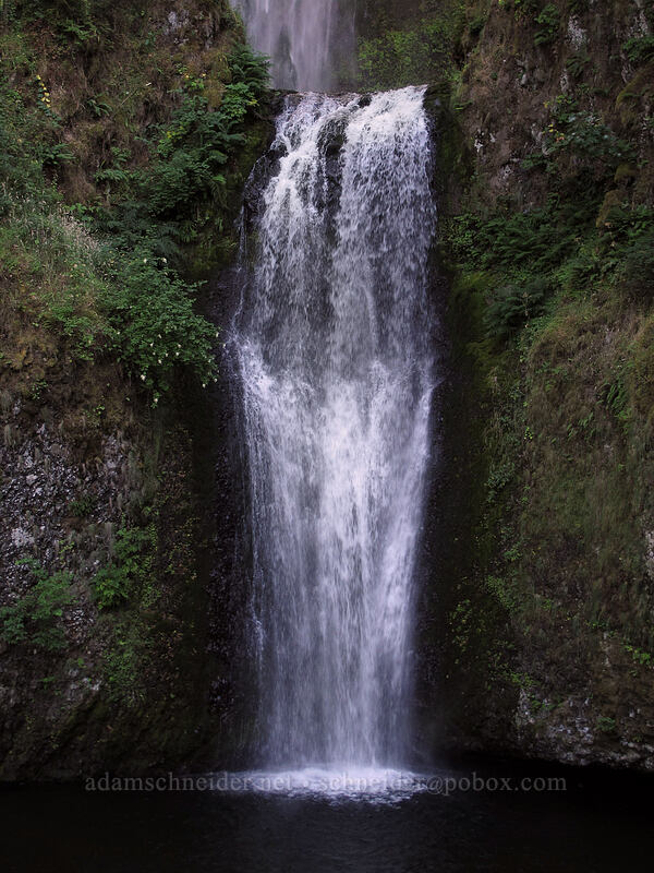 lower Multnomah Falls [Multnomah Falls, Columbia River Gorge, Multnomah County, Oregon]