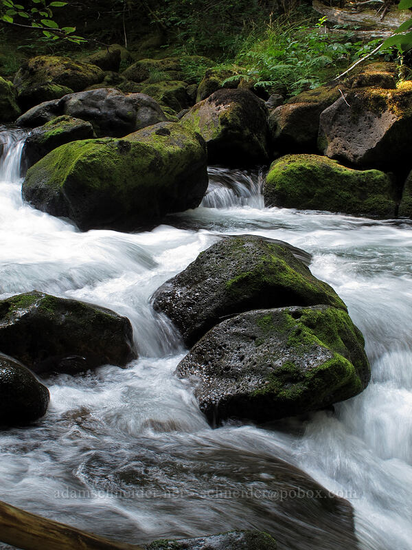 mossy rocks & whitewater [Falls Creek, Gifford Pinchot Nat'l Forest, Skamania County, Washington]