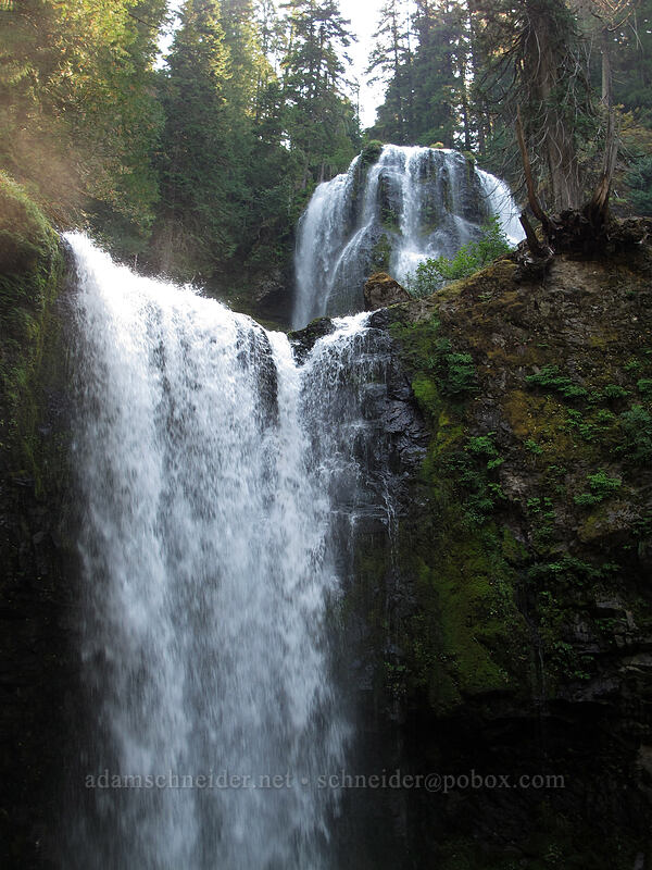 middle and lower Falls Creek Falls [Falls Creek, Gifford Pinchot Nat'l Forest, Skamania County, Washington]