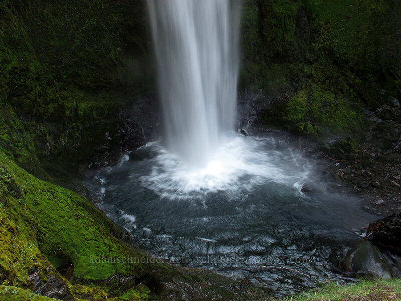 bottom of Falls Creek Falls [Falls Creek, Gifford Pinchot Nat'l Forest, Skamania County, Washington]