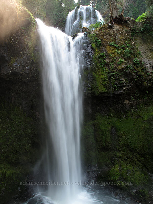 Falls Creek Falls [Falls Creek, Gifford Pinchot Nat'l Forest, Skamania County, Washington]