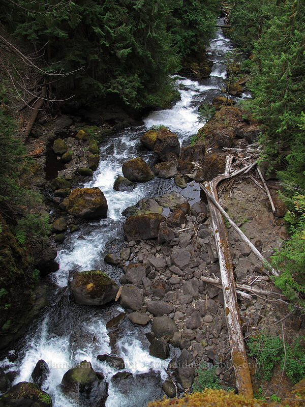 Falls Creek Gorge [Falls Creek, Gifford Pinchot Nat'l Forest, Skamania County, Washington]