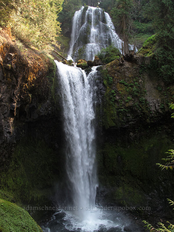 Falls Creek Falls [Falls Creek, Gifford Pinchot Nat'l Forest, Skamania County, Washington]