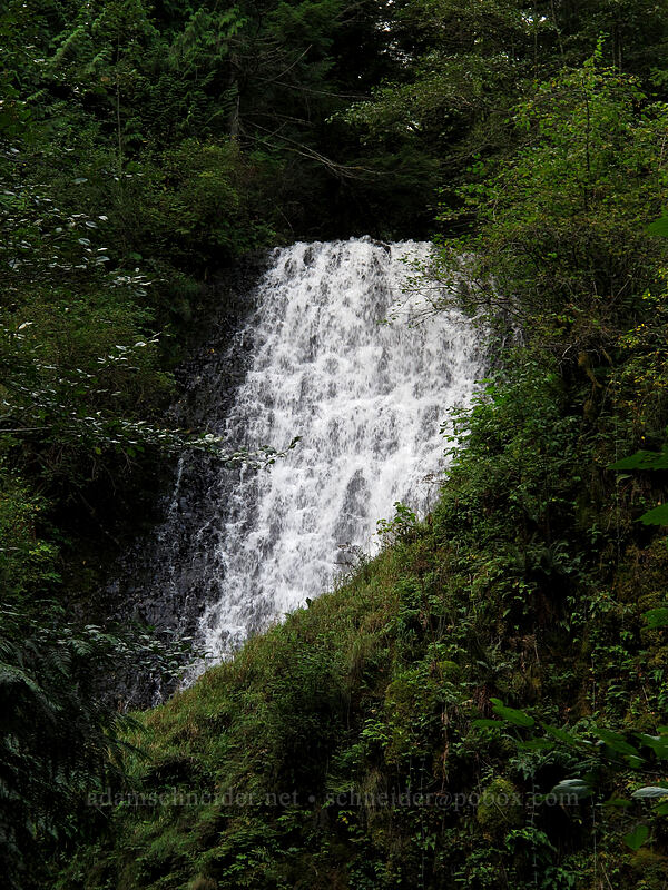 upper Upper Latourell Falls [Latourell Falls Trail, Multnomah County, Oregon]