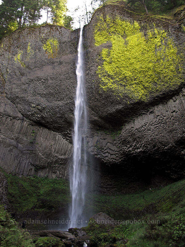 Lower Latourell Falls [Latourell Falls Trail, Multnomah County, Oregon]