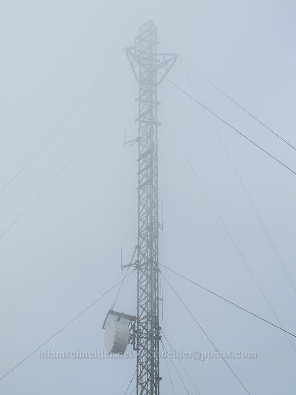 radio tower in the clouds [Mt. Defiance summit, Columbia River Gorge, Hood River County, Oregon]