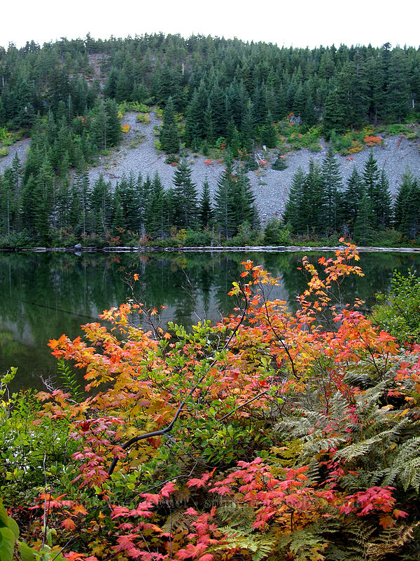 Warren Lake [Warren Lake Trail, Columbia River Gorge, Hood River County, Oregon]