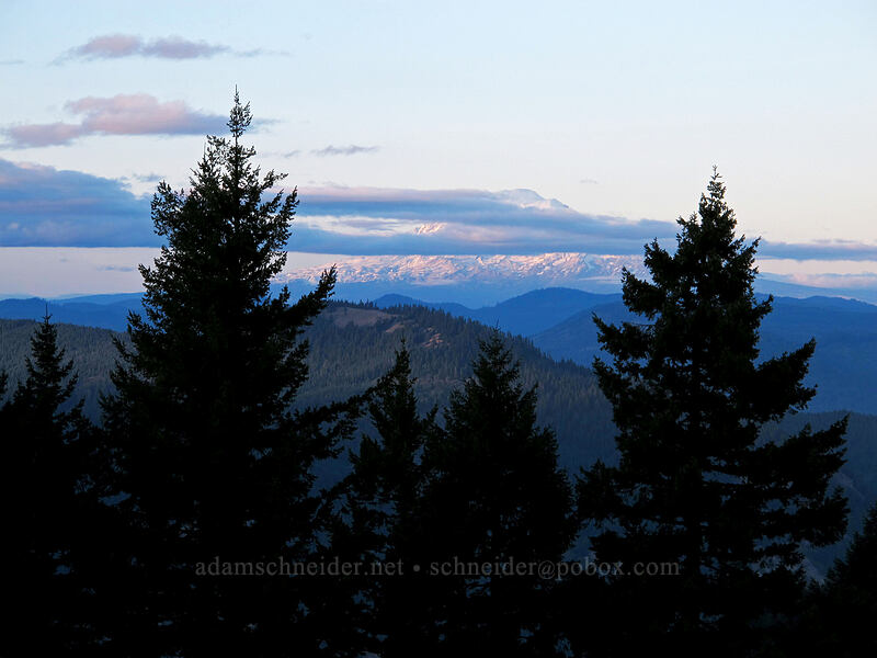 Mount Adams [Starvation Ridge Trail, Columbia River Gorge, Hood River County, Oregon]