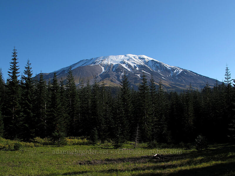 Mount St. Helens [Toutle Trail, Mt. St. Helens National Volcanic Monument, Cowlitz County, Washington]