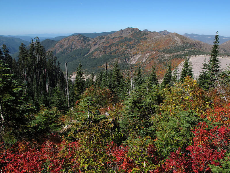 view to the northwest [Loowit Trail, Mt. St. Helens National Volcanic Monument, Skamania County, Washington]