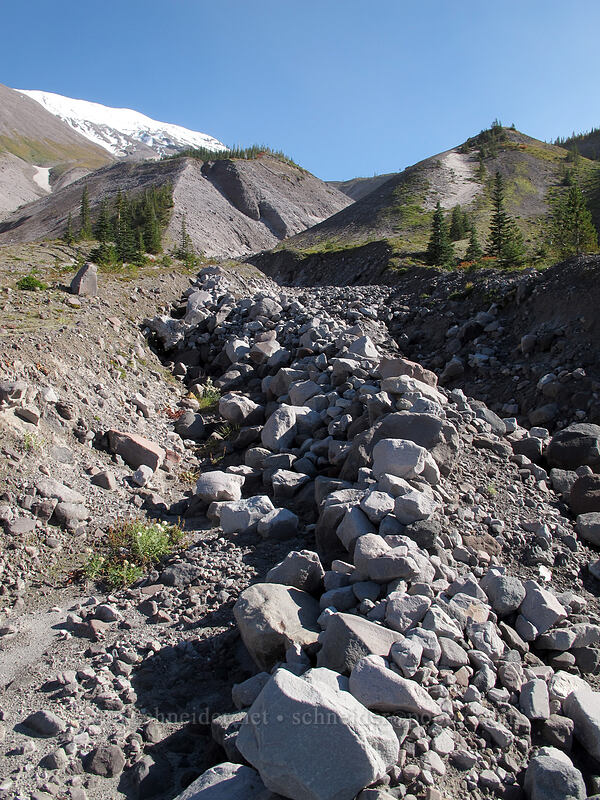 rocky channels in Sheep Canyon [Loowit Trail, Mt. St. Helens National Volcanic Monument, Skamania County, Washington]