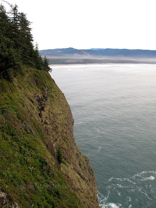 beach south of Cape Lookout [Cape Lookout State Park, Tillamook County, Oregon]