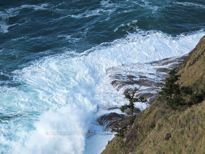 surf at the end of Cape Lookout [Cape Lookout State Park, Tillamook County, Oregon]