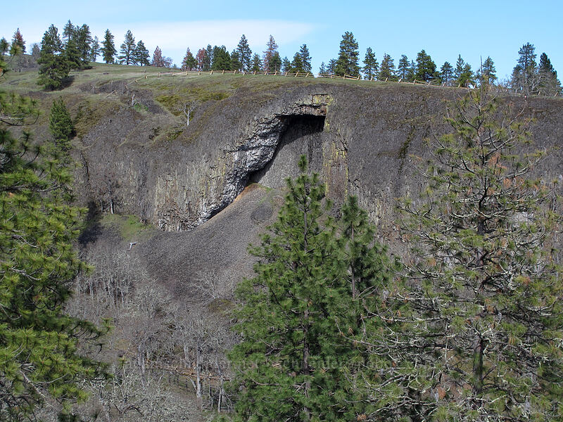 basalt arch [Catherine Creek, Klickitat County, Washington]