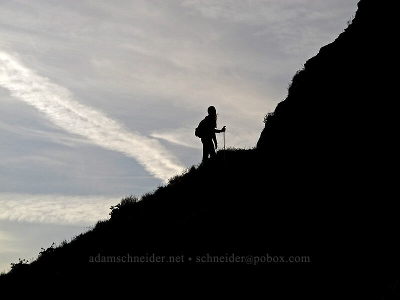 Allison, silhouetted [Dog Mountain Trail, Gifford Pinchot National Forest, Skamania County, Washington]