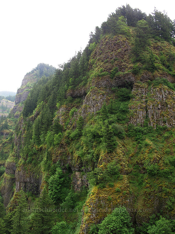 Gorge cliffs [Rock of Ages Arch, Columbia River Gorge, Multnomah County, Oregon]