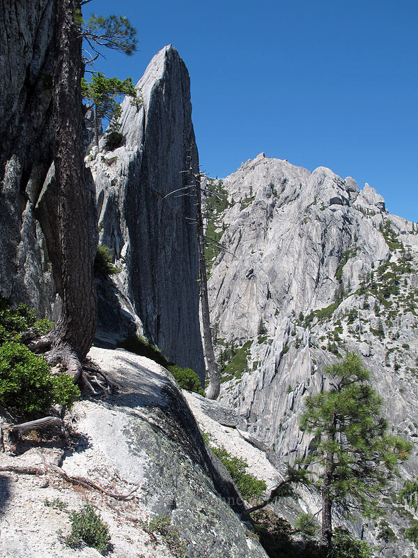 narrow ledges and steep spires [Castle Dome saddle, Castle Crags Wilderness, Shasta County, California]