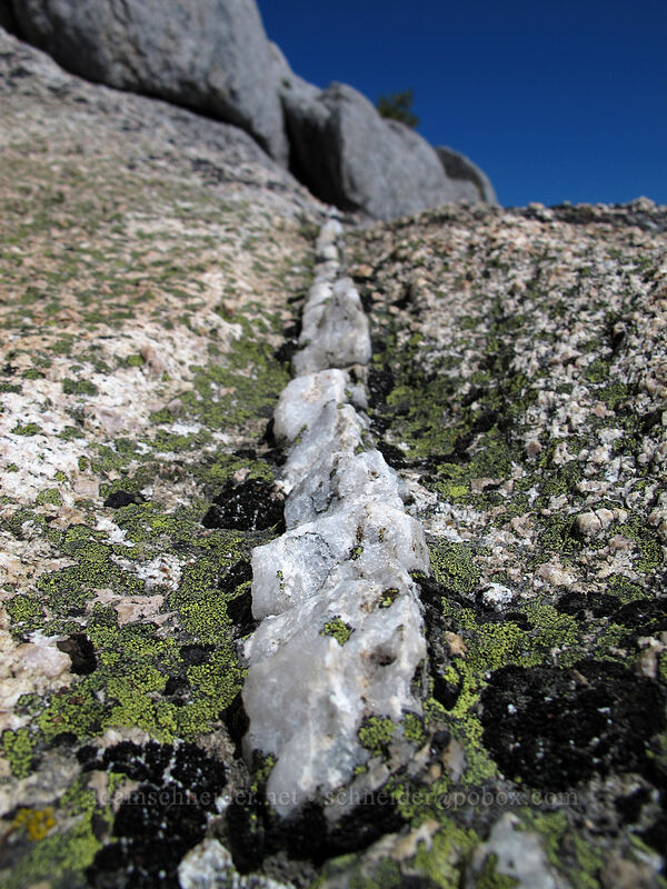 quartz-filled crack [Castle Crags, Castle Crags Wilderness, Shasta County, California]