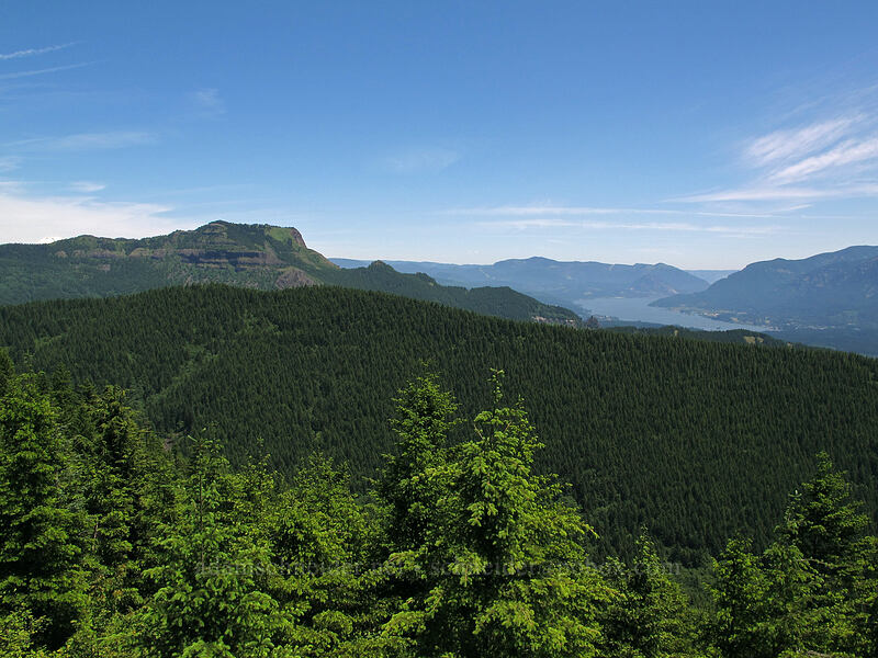 Table Mountain & the Columbia River [Hardy Ridge, Beacon Rock State Park, Skamania County, Washington]