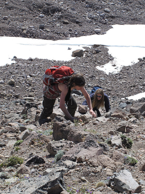 Tracy & Allison scrambling up [Barrett Spur, Mt. Hood Wilderness, Hood River County, Oregon]