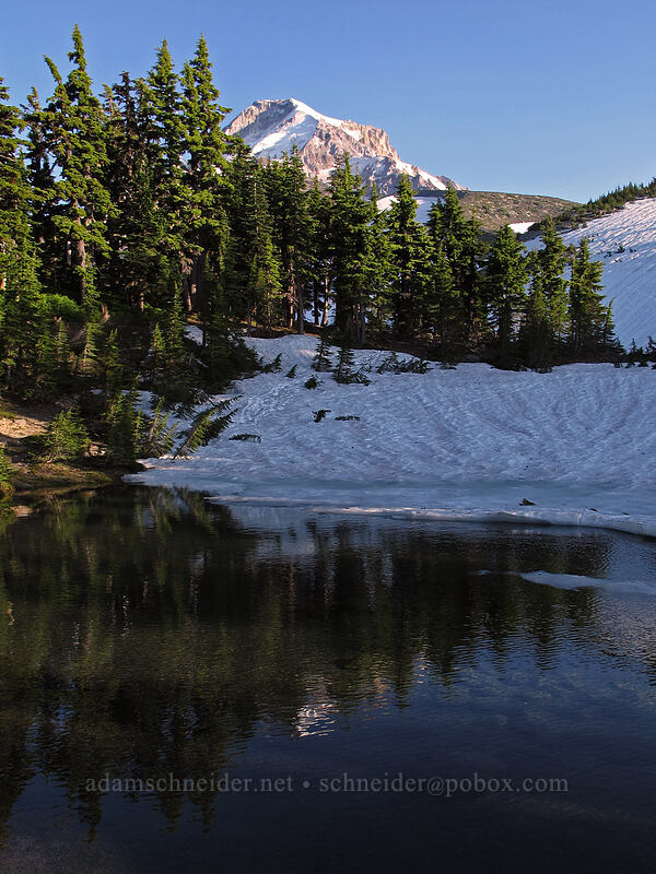 Mount Hood & Dollar Lake [Dollar Lake, Mt. Hood Wilderness, Hood River County, Oregon]