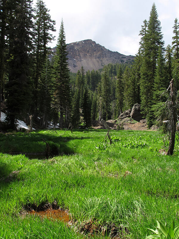 Brokeoff Mountain & a meadow [Brokeoff Mountain Trail, Lassen Volcanic National Park, Tehama County, California]