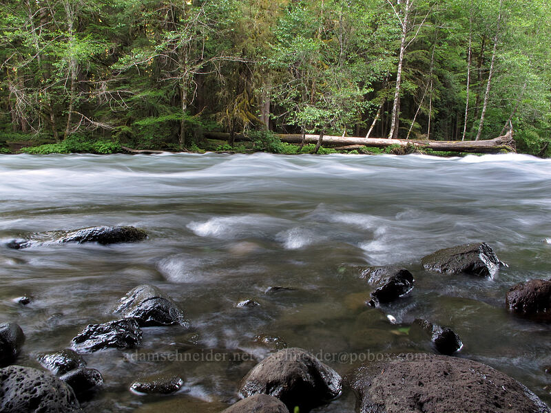 McKenzie River [Bigelow Hot Spring, Willamette National Forest, Lane County, Oregon]