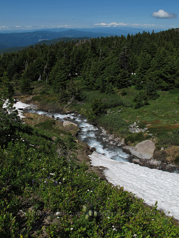 a fork of Ladd Creek [McNeil Point Trail, Mt. Hood Wilderness, Hood River County, Oregon]