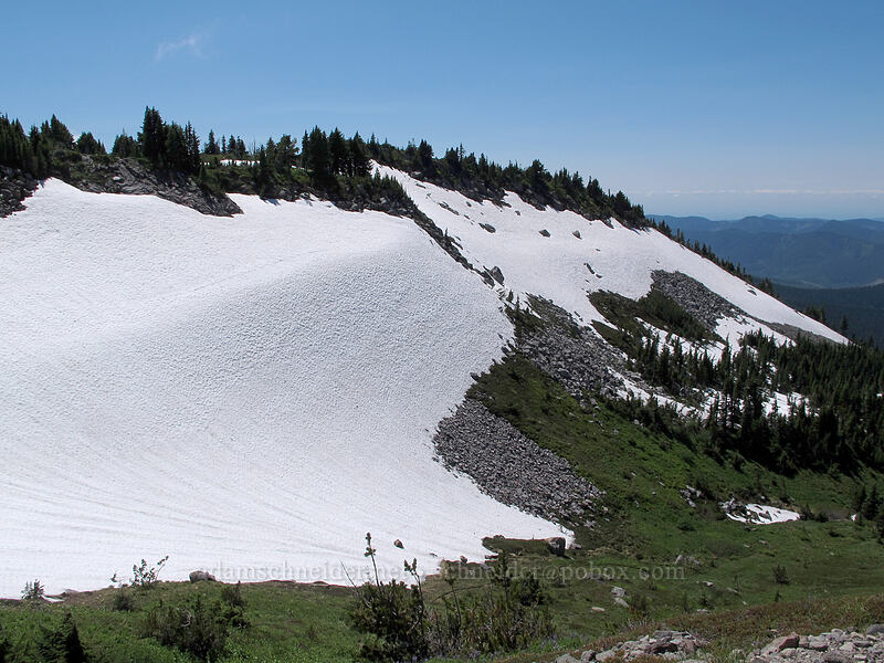 steep snowfields [McNeil Point Trail, Mt. Hood Wilderness, Hood River County, Oregon]