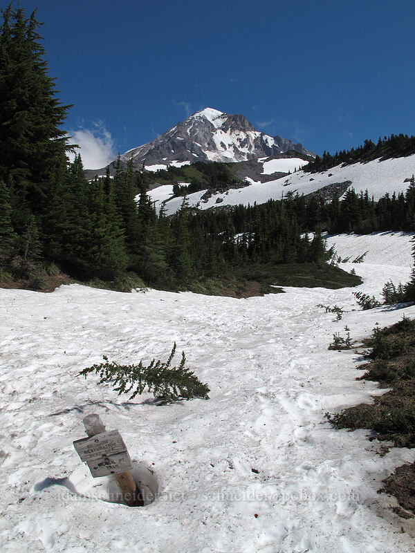 junction with the former McNeil Point Trail [Timberline Trail, Mt. Hood Wilderness, Hood River County, Oregon]