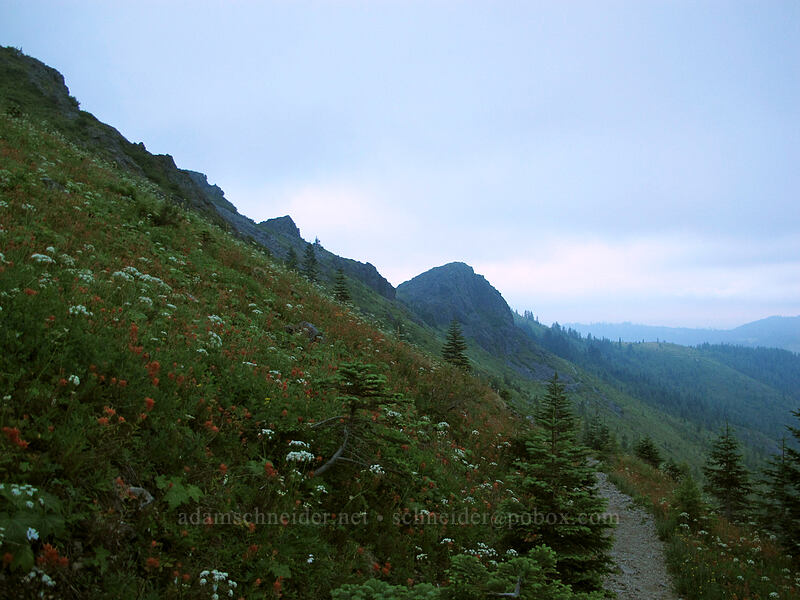 Pyramid Rock in late evening [Grouse Vista Trail, Gifford Pinchot Nat'l Forest, Clark County, Washington]