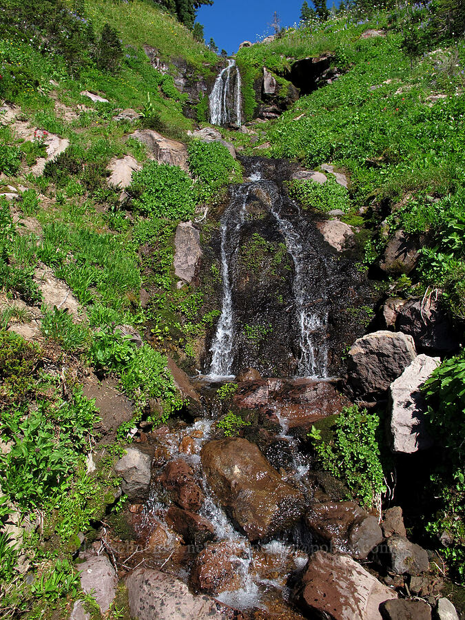 small waterfall [Lily Basin Trail, Goat Rocks Wilderness, Lewis County, Washington]