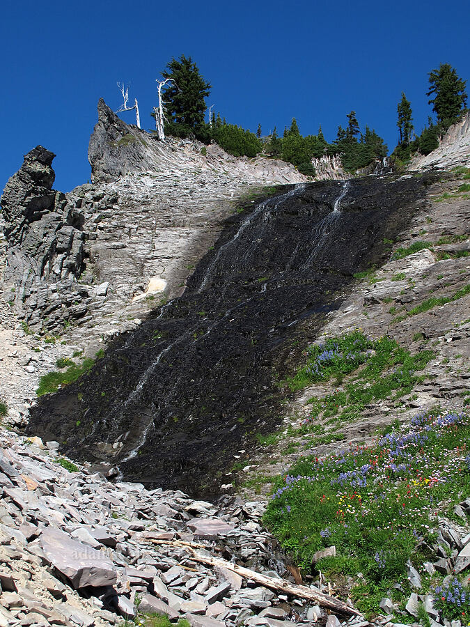 very flat waterfall [Lily Basin Trail, Goat Rocks Wilderness, Lewis County, Washington]