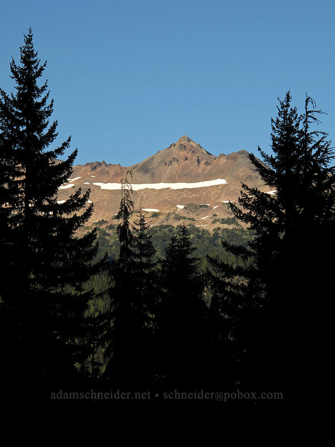 Ives Peak [Snowgrass Trail, Goat Rocks Wilderness, Lewis County, Washington]