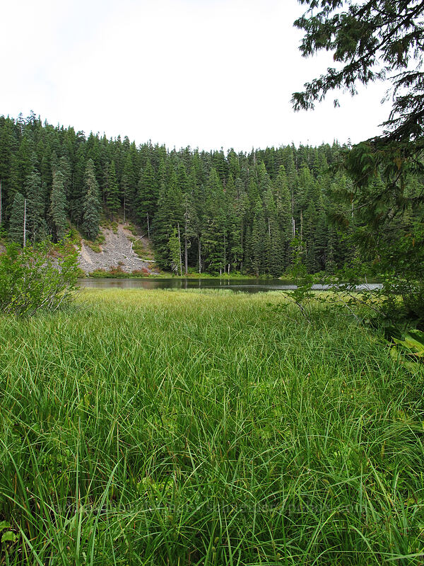Memaloose Lake [Memaloose Lake Trail, Clackamas Wilderness, Clackamas County, Oregon]