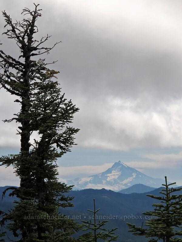 Mount Jefferson [South Fork Mountain, Mt. Hood National Forest, Clackamas County, Oregon]