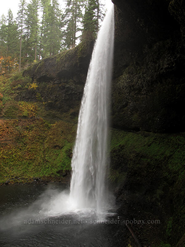South Falls [Canyon Trail, Silver Falls State Park, Marion County, Oregon]