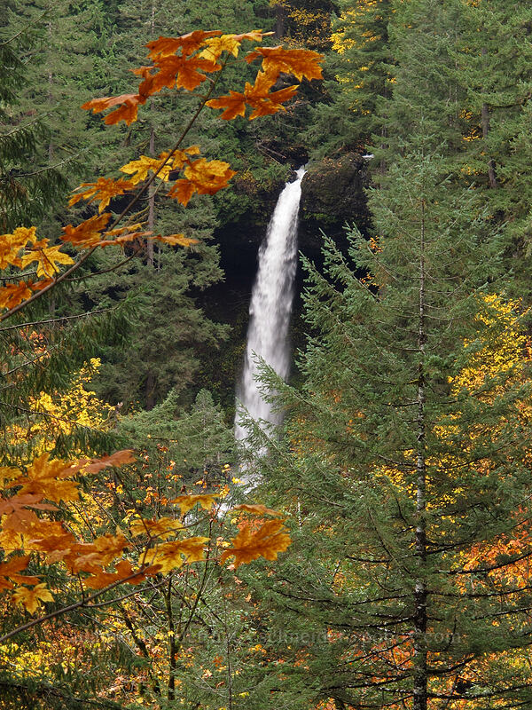North Falls [Rim Trail, Silver Falls State Park, Marion County, Oregon]