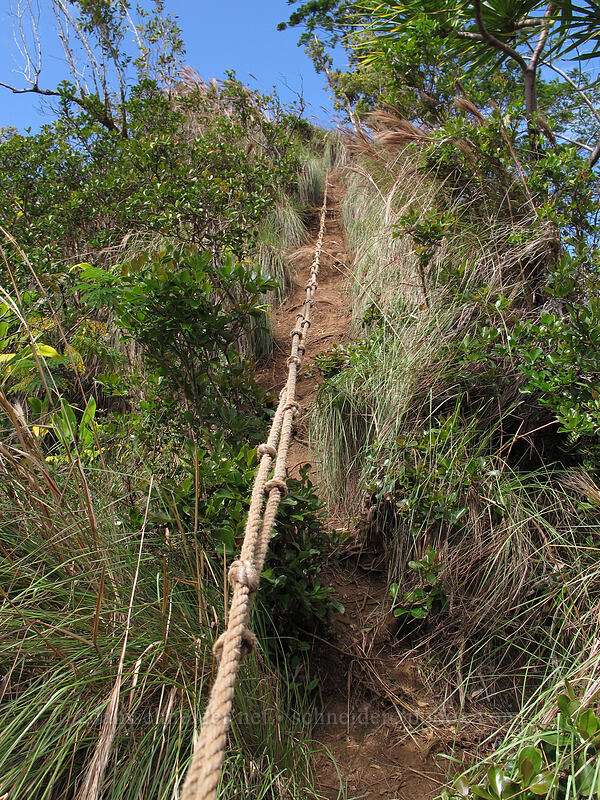 the fourth rope [Hihimanu Trail, Hanalei, Kaua'i, Hawaii]