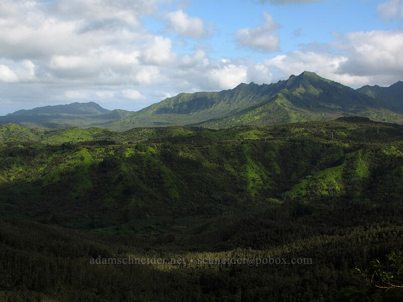 Namahana & the Hanalei Valley [Hihimanu Trail, Hanalei, Kaua'i, Hawaii]