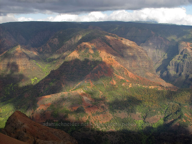 Kaluaha'ula Ridge [Waimea Canyon Lookout, Waimea Canyon State Park, Kaua'i, Hawaii]