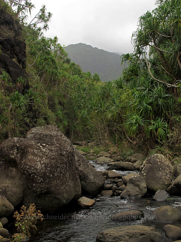 Hanakapi'ai Stream [Hanakapi'ai Valley, Na Pali Coast State Park, Kaua'i, Hawaii]