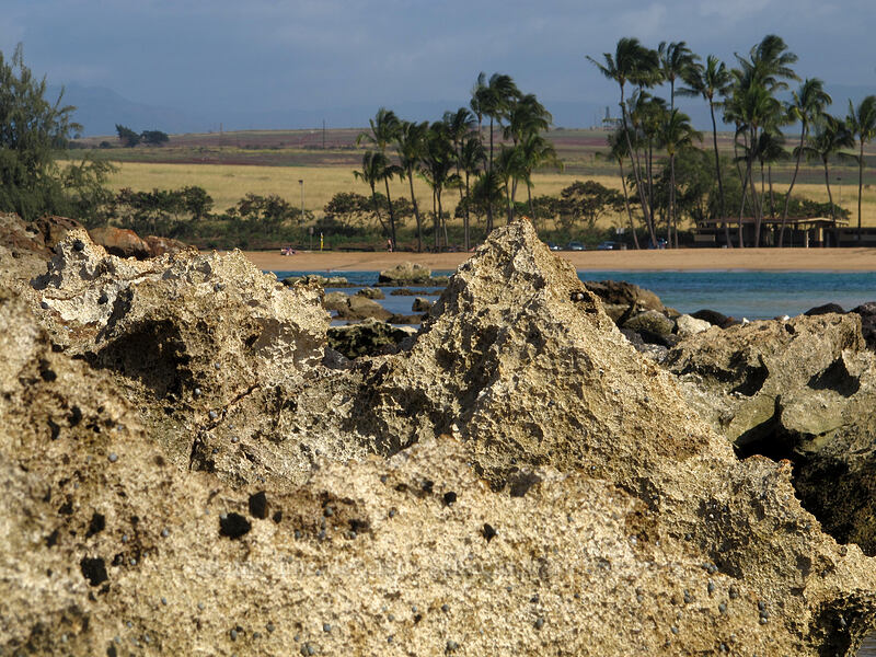 sharp rocks [Salt Pond Beach Park, Hanapepe, Kaua'i, Hawaii]