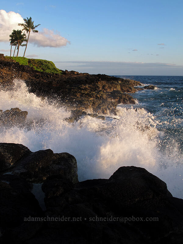 waves crashing [Ho'one Road, Po'ipu, Kaua'i, Hawaii]