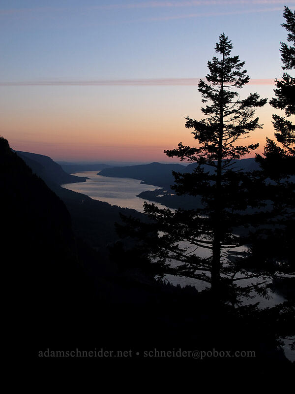 Columbia River at sunset [Munra Point Trail, John B. Yeon State Park, Multnomah County, Oregon]