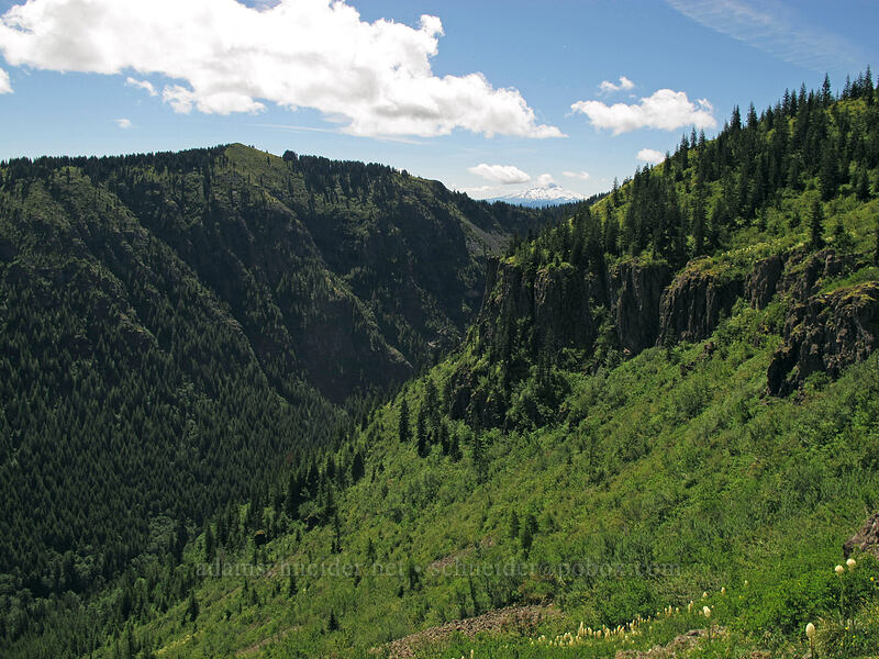 Star Creek Valley [Ed's Trail, Silver Star Mountain, Gifford Pinchot Nat'l Forest, Skamania County, Washington]
