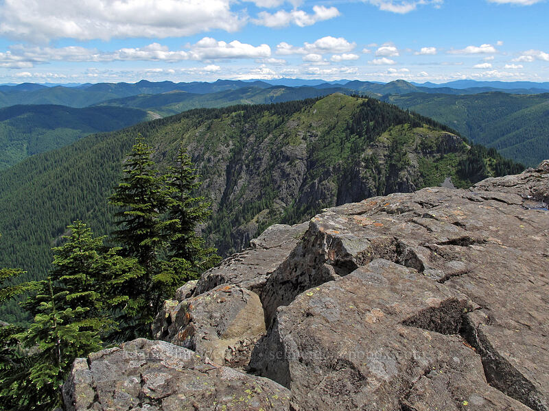 Starway ridge [Ed's Trail, Silver Star Mountain, Gifford Pinchot Nat'l Forest, Skamania County, Washington]